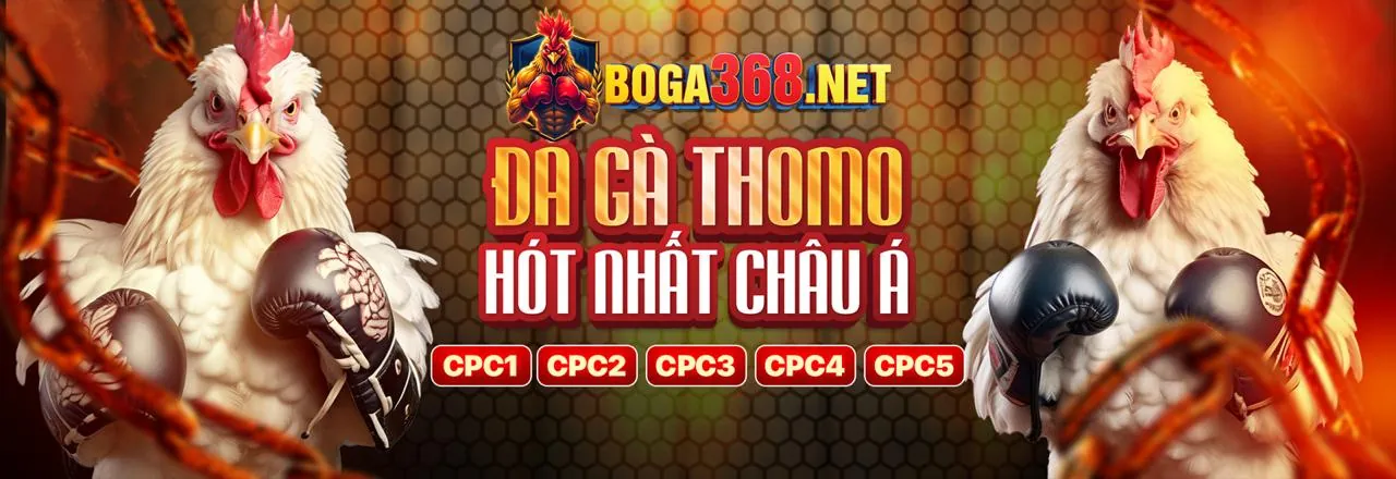 Hỗ trợ khách hàng 911win