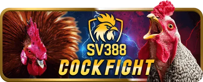Hướng dẫn nạp tiền vào 911win