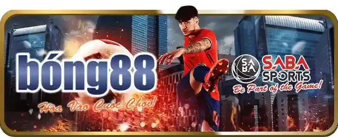 Lịch sử phát triển của 911win